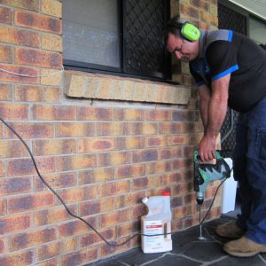 Dunrite Termite Drilling