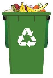 Dunrite Garbage Bin