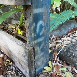 Dunrite Active Termites