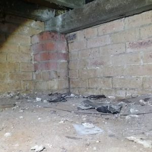 Dunrite Closeup of Termite Workings
