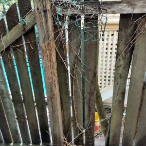 Dunrite Old Termite Damage
