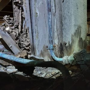 Dunrite Termite Damage Closeup