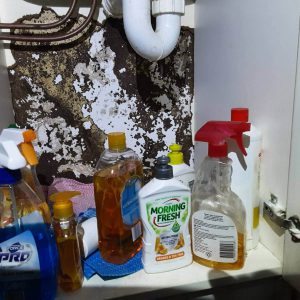 Dunrite Termite Damage Under Sink