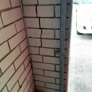 Dunrite Termite Damage in Brick Wall