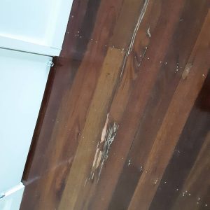 Dunrite Termite Damage in Floor