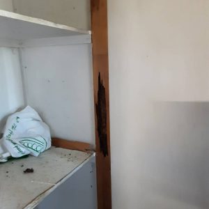 Dunrite Termite Damage in Room