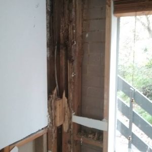 Dunrite Termite Damage on Door