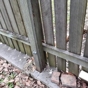 Dunrite Termite Damage to Fence