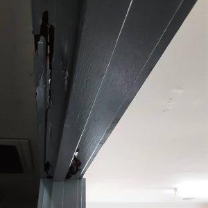 Dunrite Termite Damage to Top Window Frame