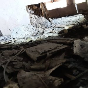 Dunrite Termite Entry Point in Subflooring