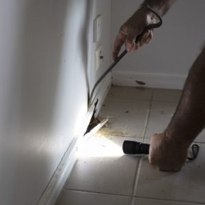 Dunrite Wayne Inspecting Skirting Boards