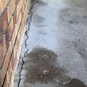 Dunrite Subterranean Termite Chemical Barrier