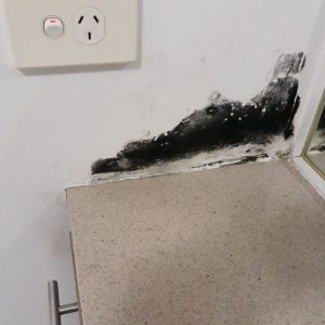 Dunrite Mould in Bathroom