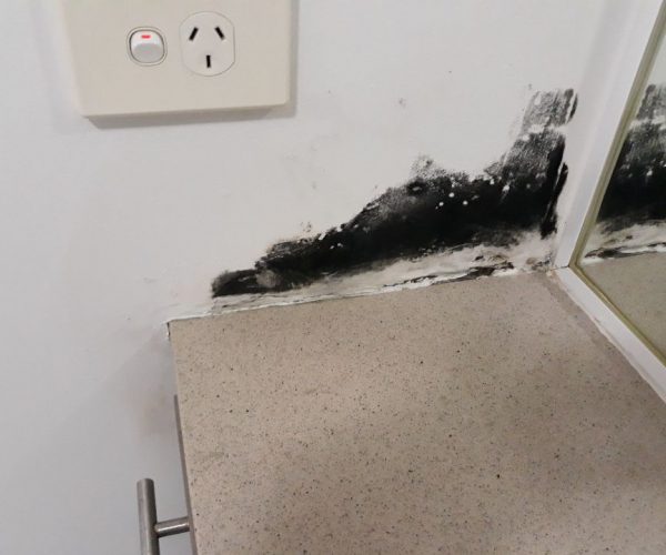 Dunrite Mould in Bathroom