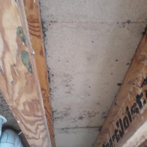Dunrite Mould Spreading
