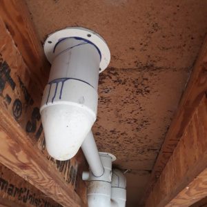 Dunriote Mould Near Water Pipes