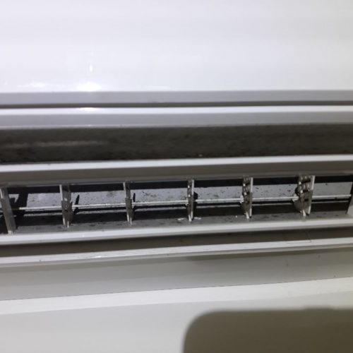 Dunrite Filter Mould