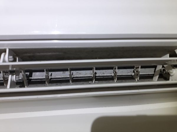 Dunrite Filter Mould