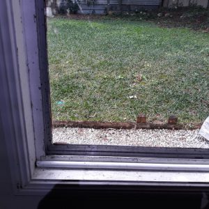 Dunrite Window Mould