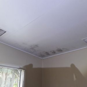 Dunrite Ceiling Mould