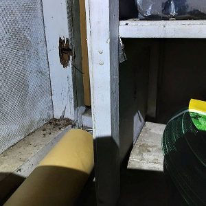 Dunrite Termite Damage Storeroom