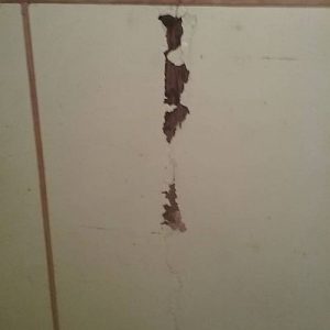 Dunrite Termite Damage