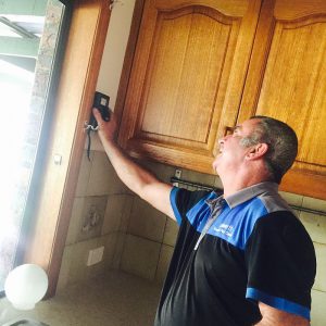 Dunrite Wayne Using Moisture Meter