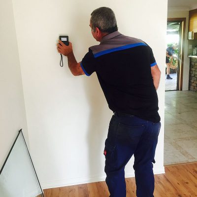 Dunrite Wayne Moisture Meter