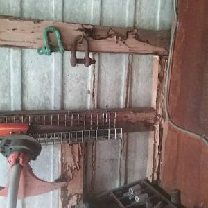 Dunrite Termite Damage to Wooden Beams