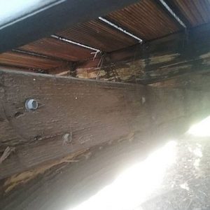 Dunrite Wayne Termite Damage