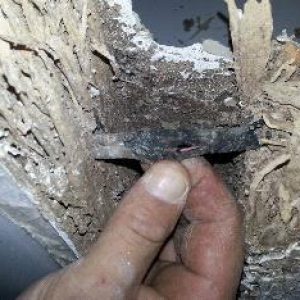 Dunrite Termite Wood Damage