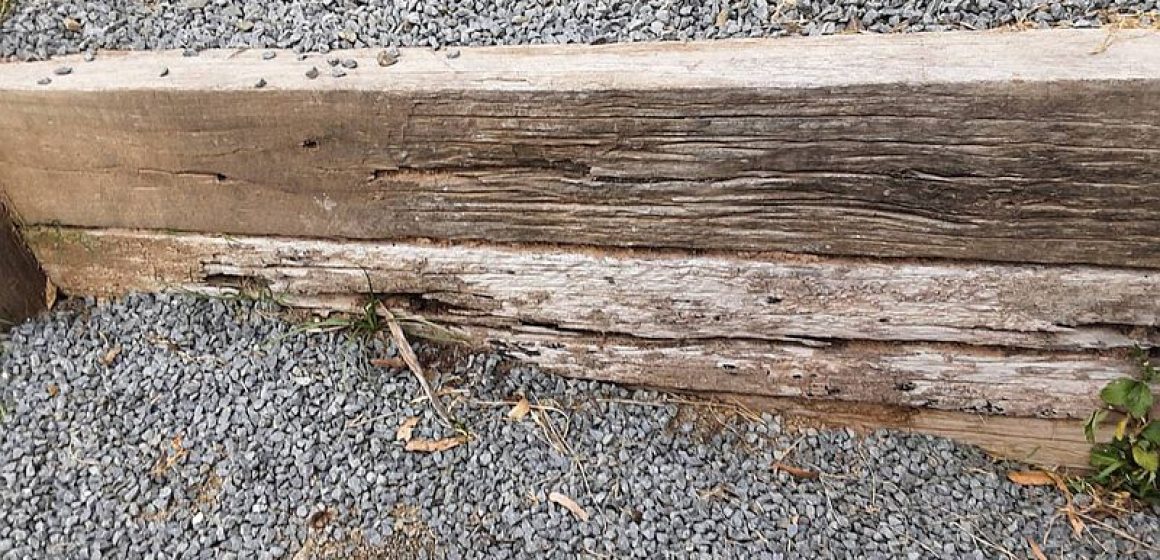 Dunrite Termite Damage to External Fixtures