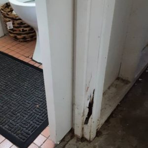 Termite Damage GF Patricia Copy min min
