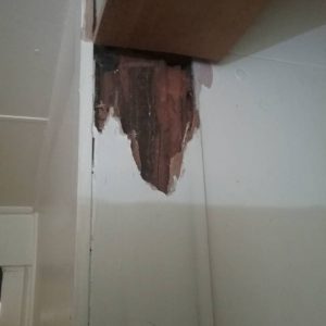 Termite Damage Sunnybank min min
