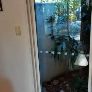 damage Termites bellbowrie min min