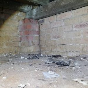 termite workings GF min min