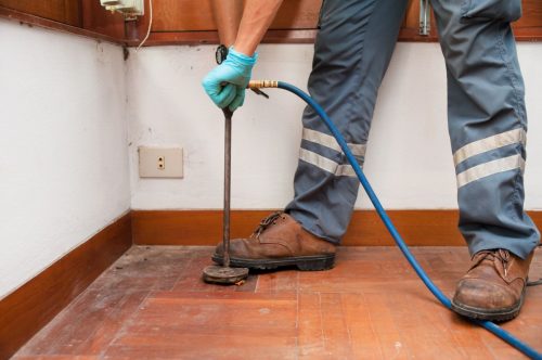 dunritetermitesinfloodwatermin Dunrite Termites Pest Control dunrite termites in flood water min