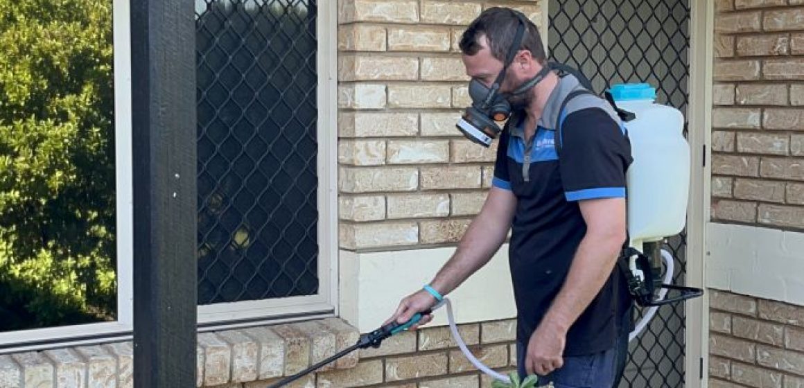 dunrite-termites-in-beenleigh-blog
