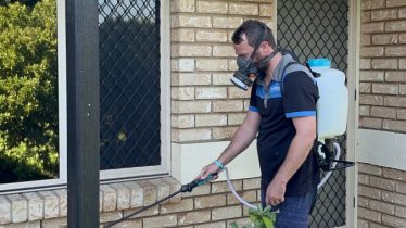 dunrite-termites-in-beenleigh-blog